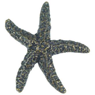 Atlas Homewares 142-BB Starfish Cabinet Knob in Burnished Bronze
